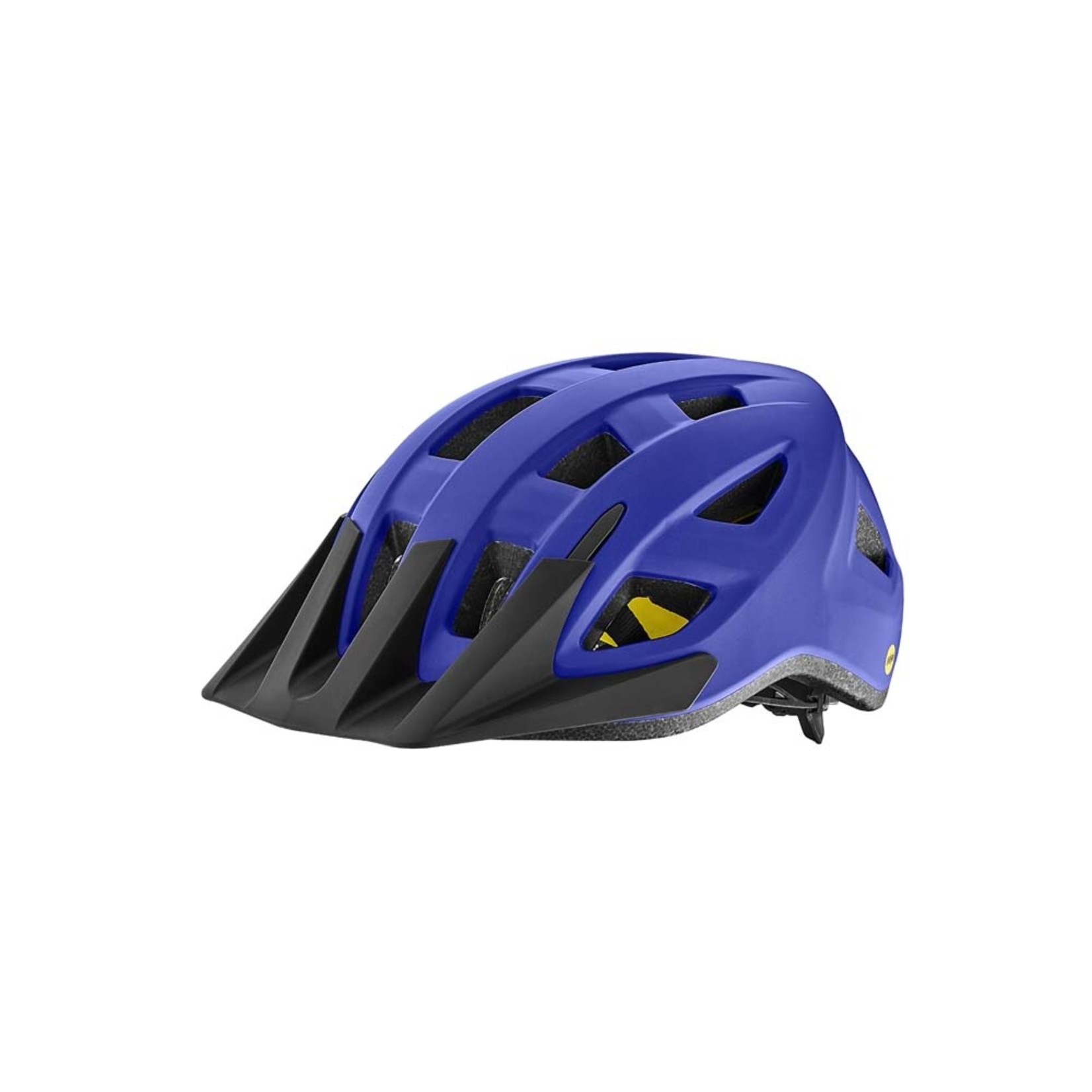 Giant Giant Bike Helmet, Path Mips, Youth