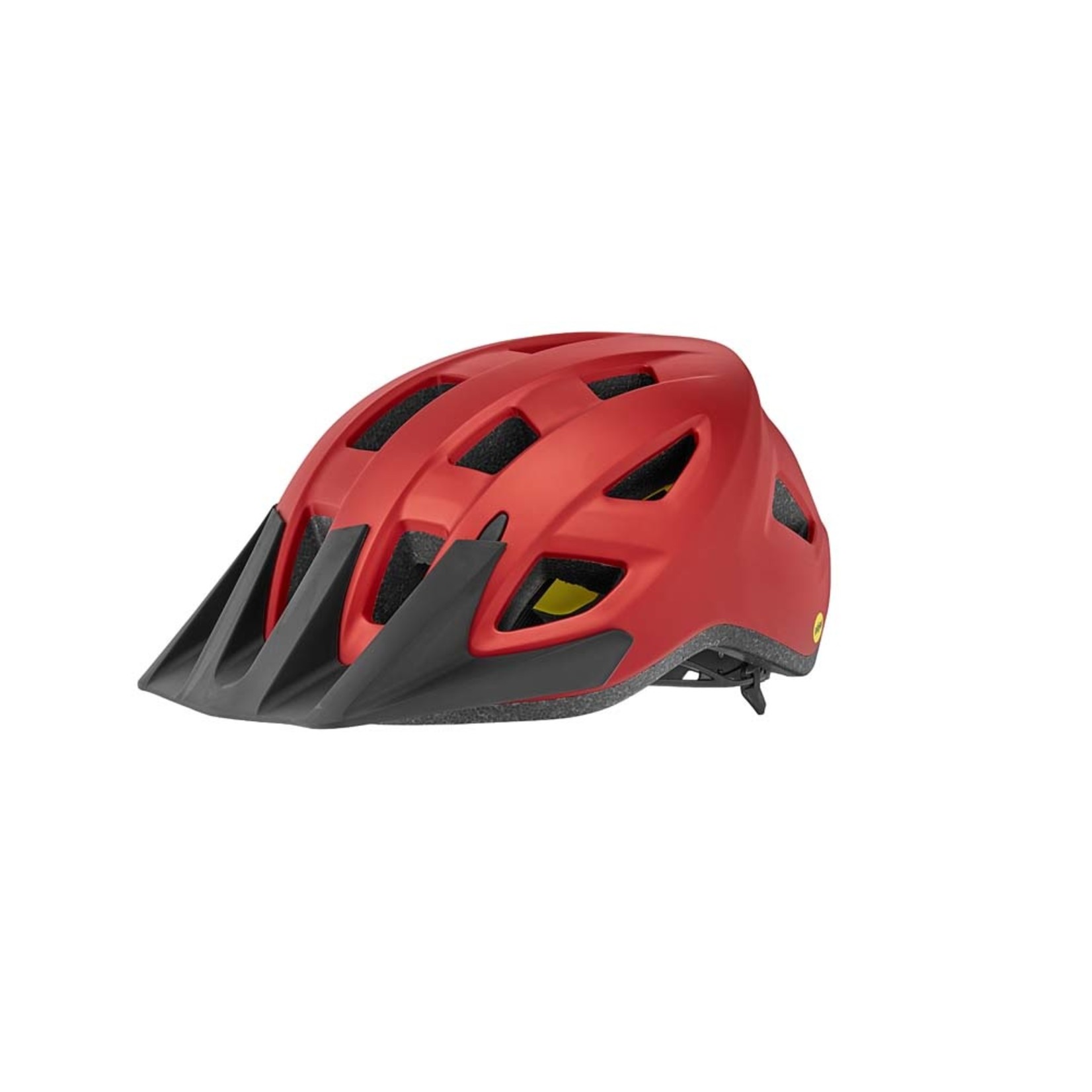 Giant Giant Bike Helmet, Path Mips, Youth