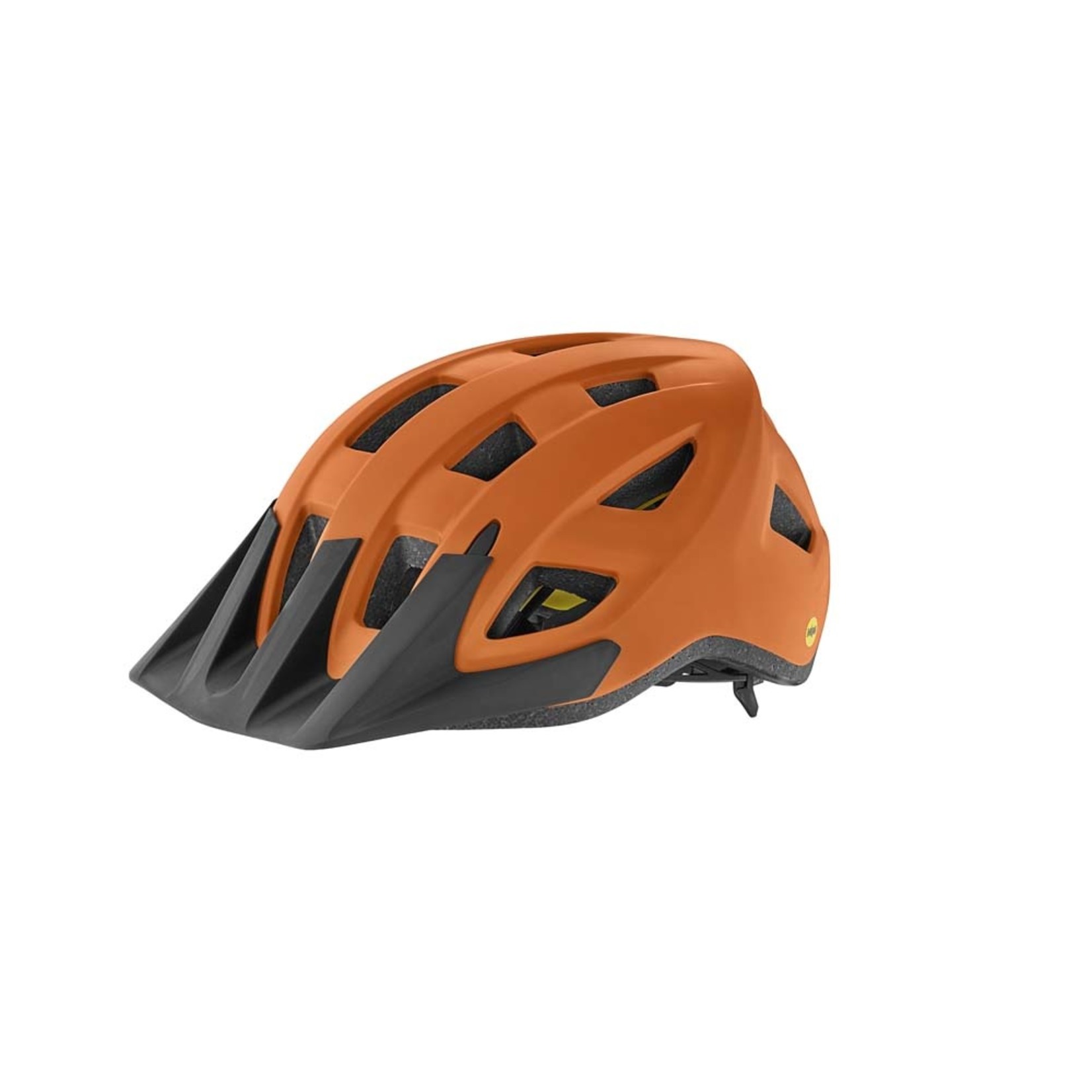 Giant Giant Bike Helmet, Path Mips, Youth