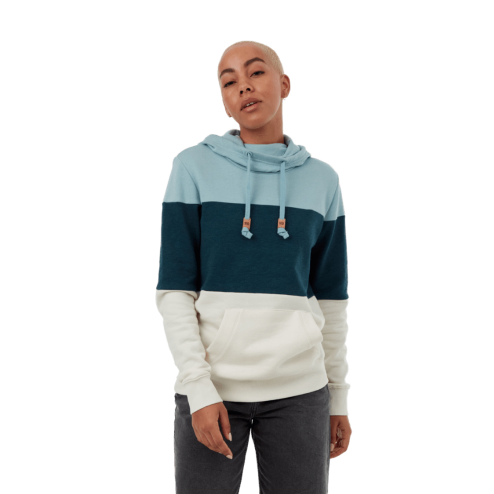 Tentree Tentree Hoodie, TreeFleece Blocked Banshee, Ladies