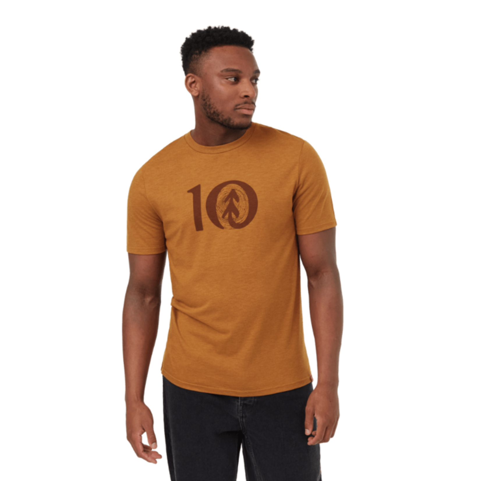 Tentree Tentree T-Shirt, Woodgrain Ten, Mens