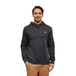 Tentree Tentree Hoodie, Quadra, Mens