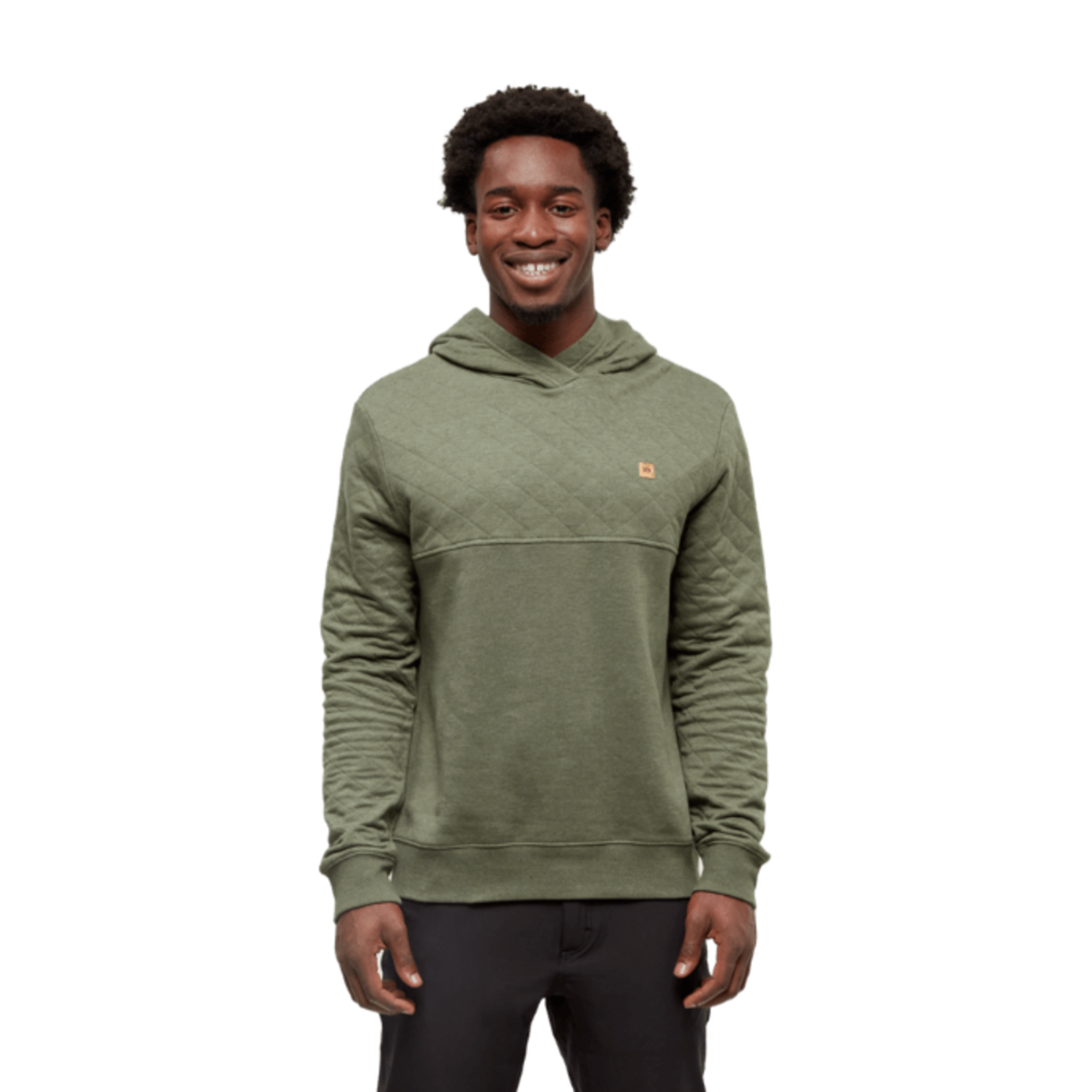 Tentree Tentree Hoodie, Quadra, Mens