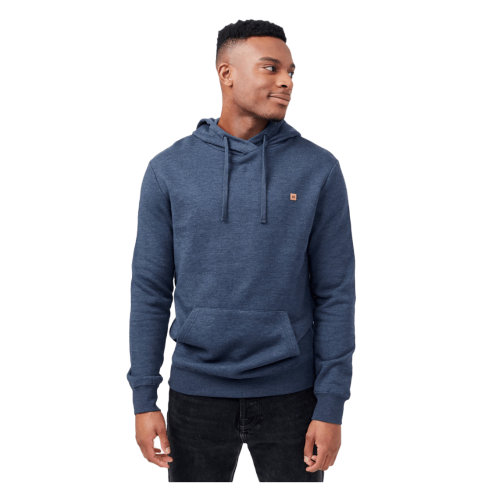 Tentree Tentree Hoodie, Reynard, Mens