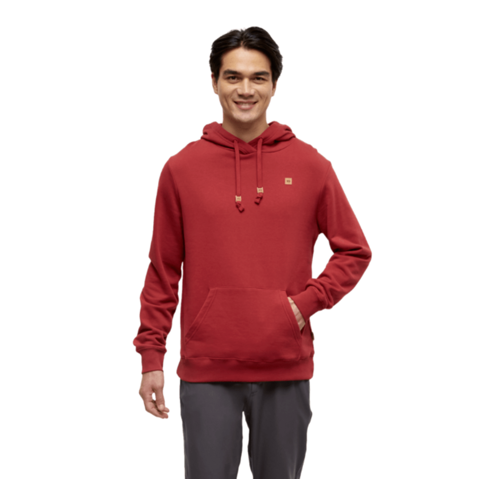 Tentree Tentree Hoodie, Reynard, Mens