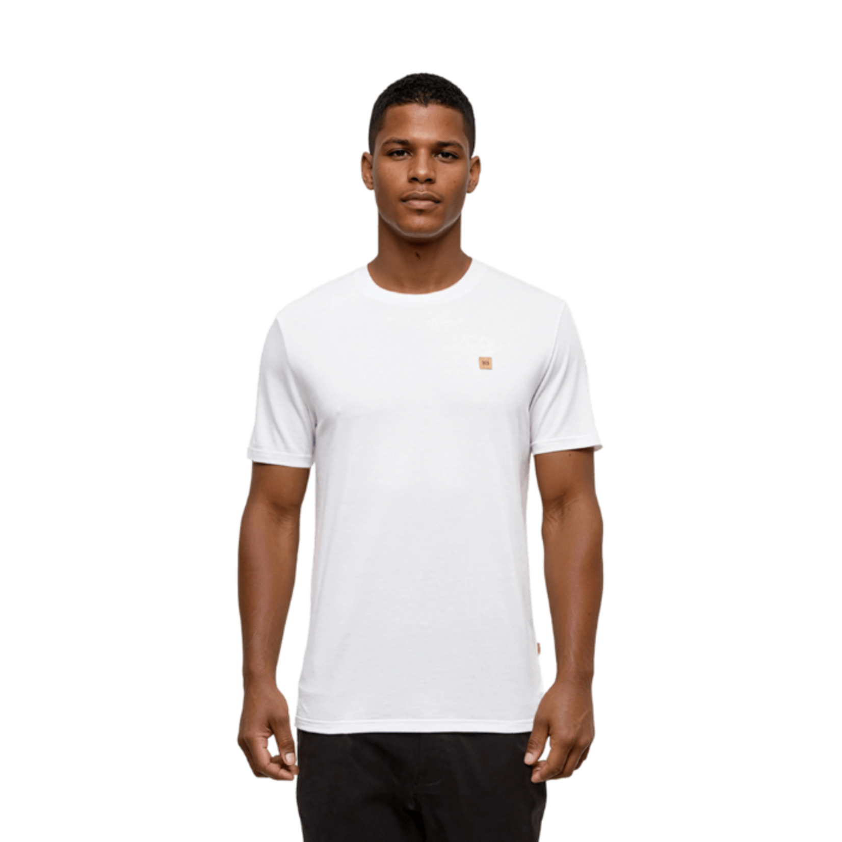 Tentree Tentree T-Shirt, Baker, Mens