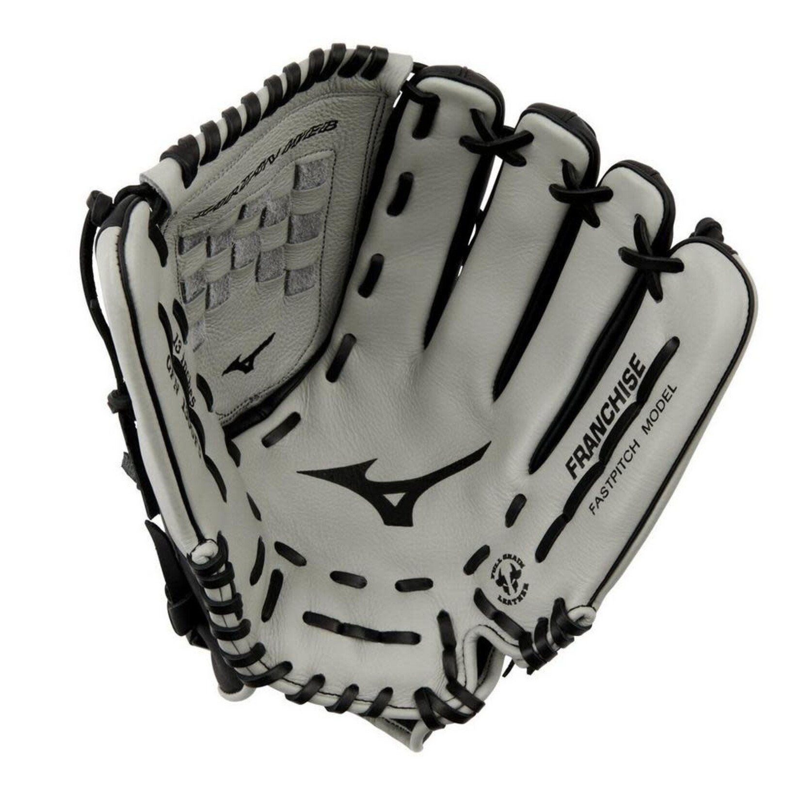 Mizuno Mizuno Fastpitch Glove, Franchise GFN1300F5, 13", Reg
