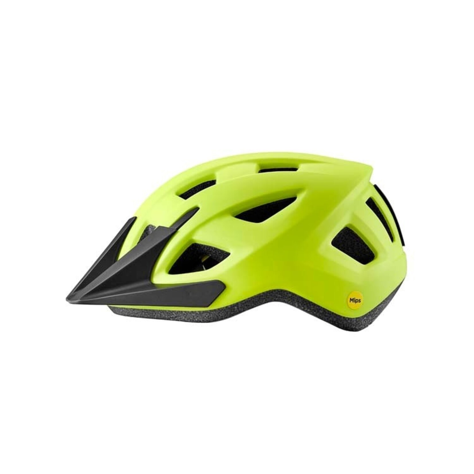 Giant Giant Bike Helmet, Path Mips, Youth