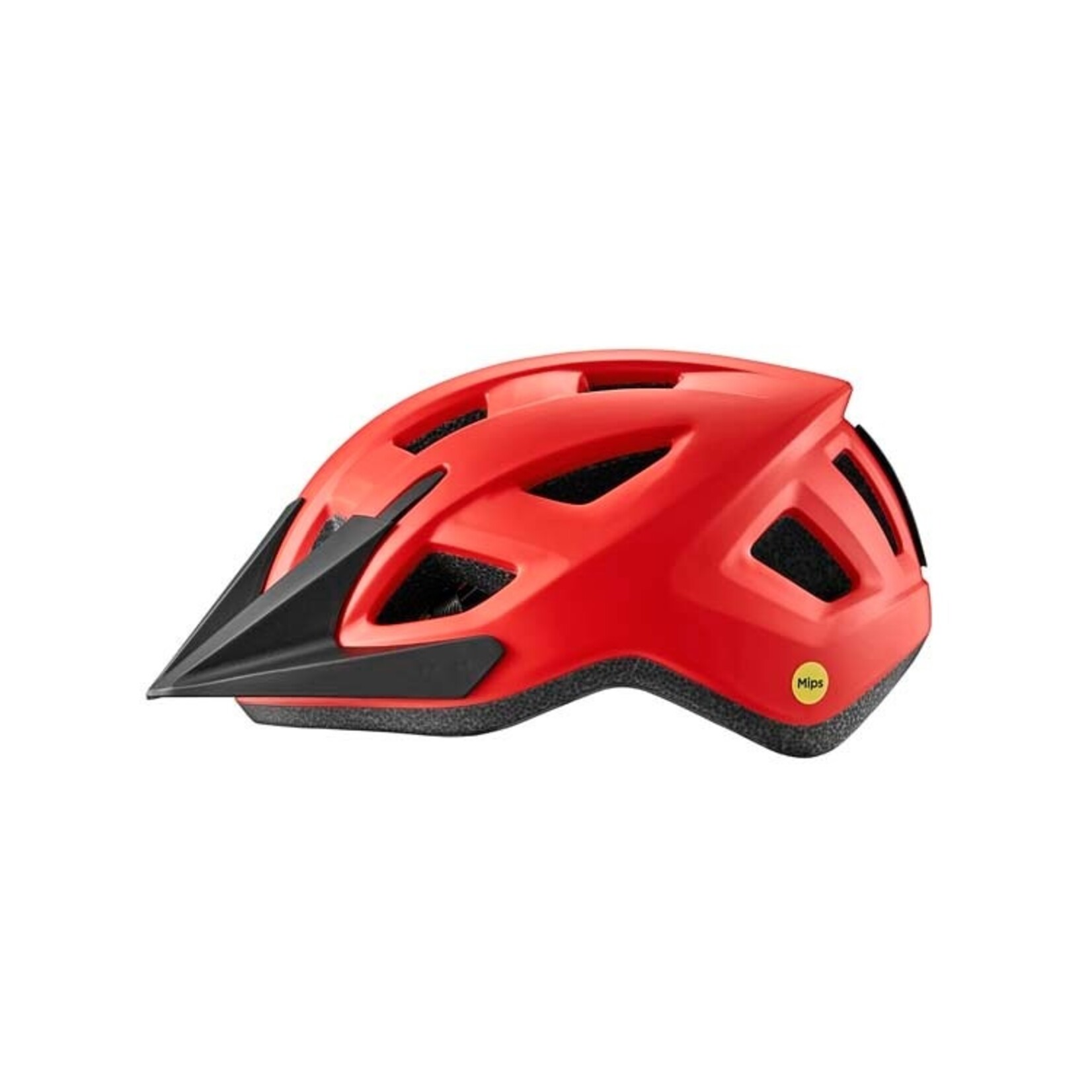 Giant Giant Bike Helmet, Path Mips, Youth