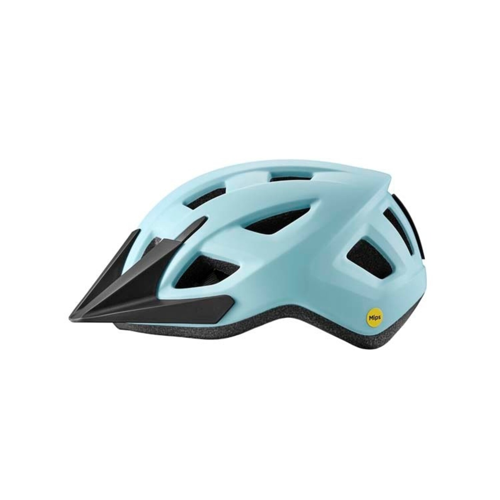 Giant Giant Bike Helmet, Path Mips, Youth