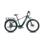 Envo Envo Electric Bike, D50