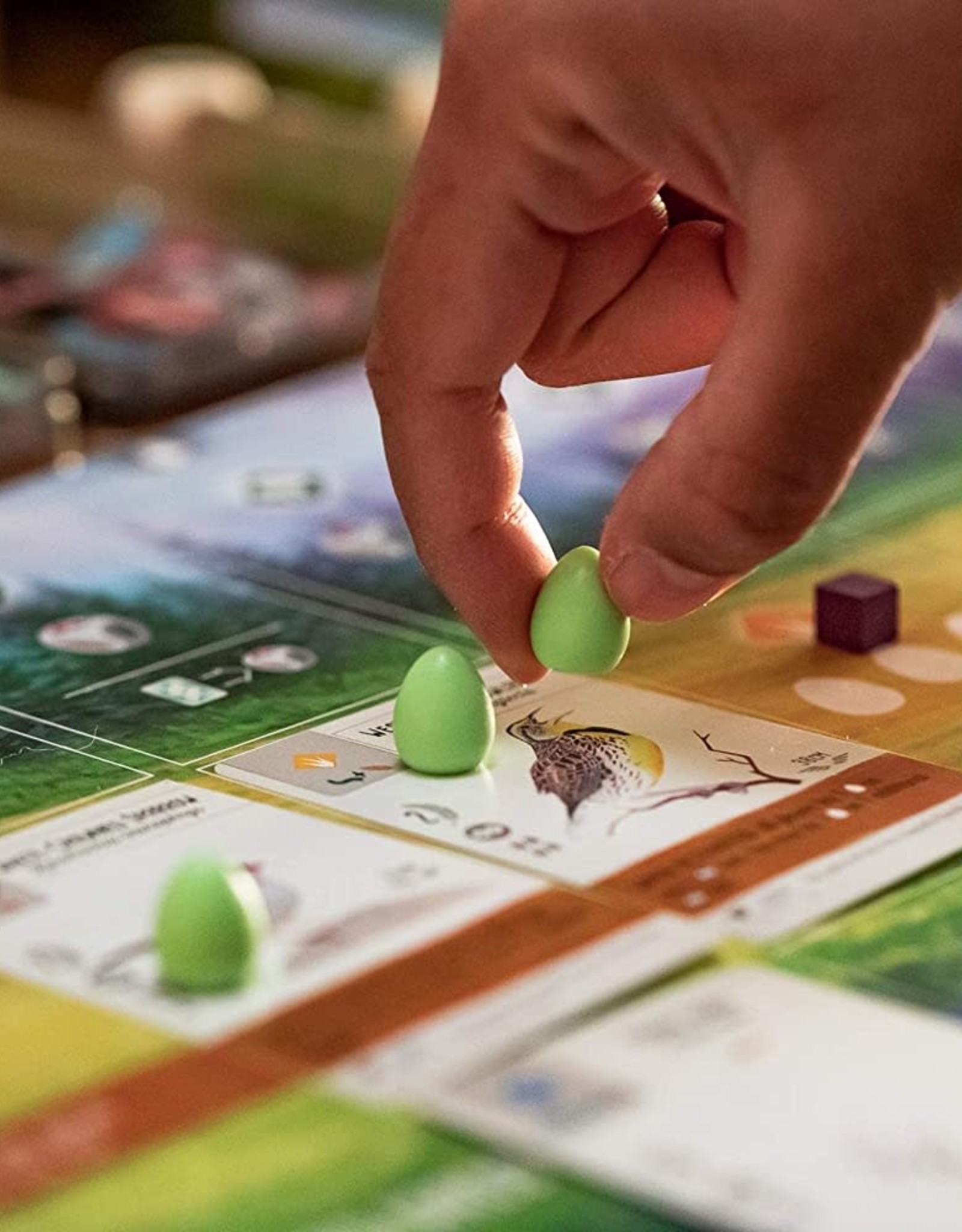 Stonemaier Games WINGSPAN W/ SWIFT START (6)