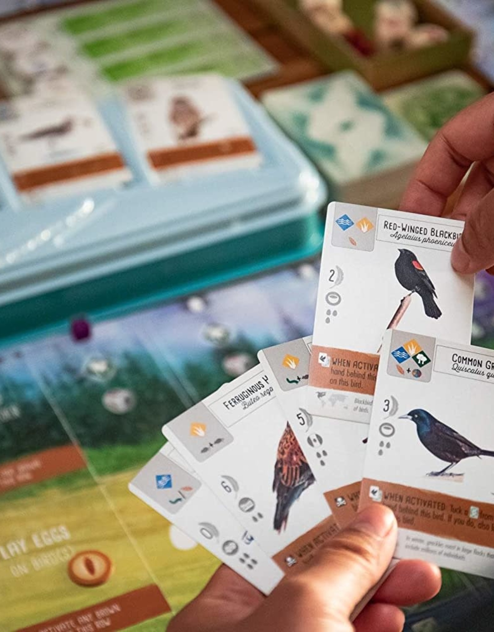 Stonemaier Games WINGSPAN W/ SWIFT START (6)