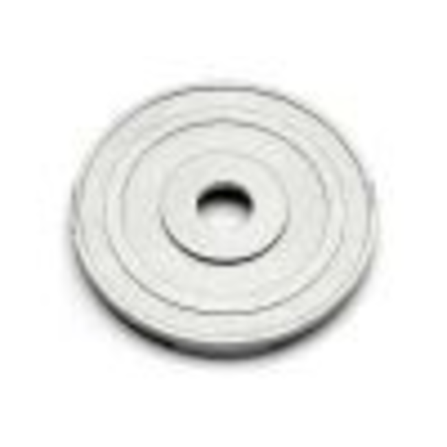 HPI Slipper Clutch Plate A