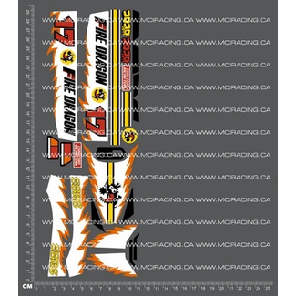 MCI REPRODUCTION DECALS MCI 1/10th REPRODUCTION  TAM 58078 - FIRE DRAGON DECALS