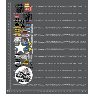 MCI REPRODUCTION DECALS MCI 1/10th REPRODUCTION TAM 58035 - WILD WILLY DECALS