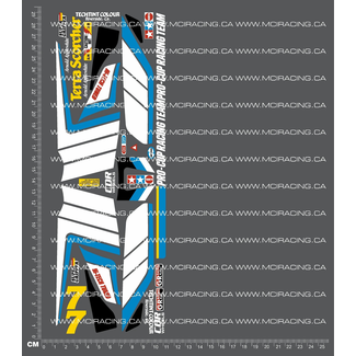 MCI REPRODUCTION DECALS MCI 1/10th REPRODUCTION TAM 58075 - TERRA SCORCHER DECALS