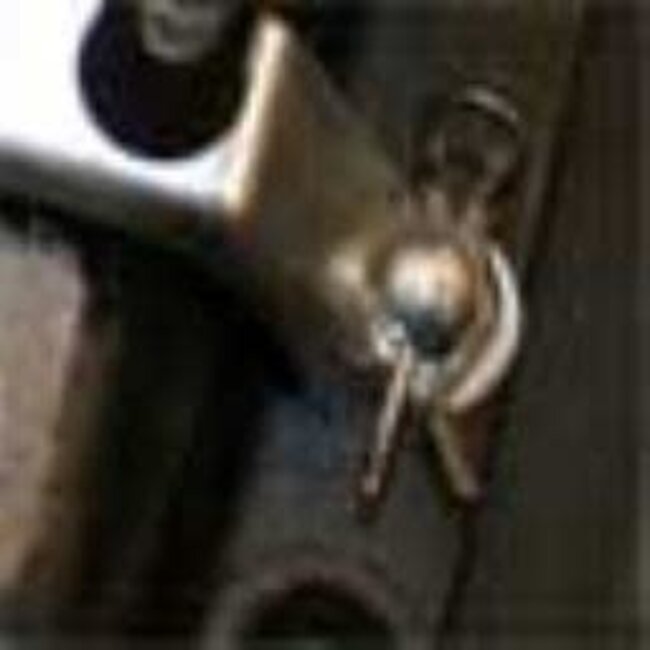 SKUNKWORKS ROLL CAGE QUICK RELEASE