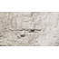 WOODLAND SCENICS Concrete EARTH COLORS