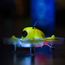 BLADE INDUCTRIX FPV BNF