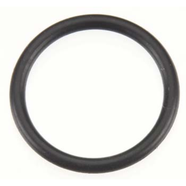 SUPG5065 - 22020577 Carb O-ring G-4500