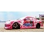 FACE-WORX DECALS YASHIO FACTORY  ( NISSAN SILVIA )SUITS MOST CARS 2 SHEETS