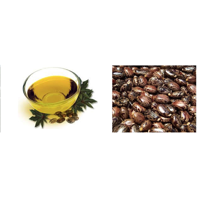 RACE ACE REFINED  CASTOR OIL 100%  1lt  Bottle  TRIPLE FILTERED FIRST PRESSING.