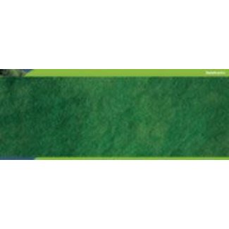 HORNBY SKALE SCENICS HORNBY SKALE SCENICS POLY FIBRE STRANDS MEDIUM GREEN