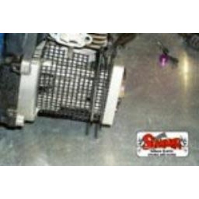 DDM SLAMMER DAMN ENGINE PROTECTOR