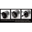 EMAX GT2815/05 1500KV 2-3 CELL 1800G THRUST