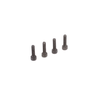 EVOLUTION Evolution Carb regulator screws (4): 10GX, ( DISCONTINUED )