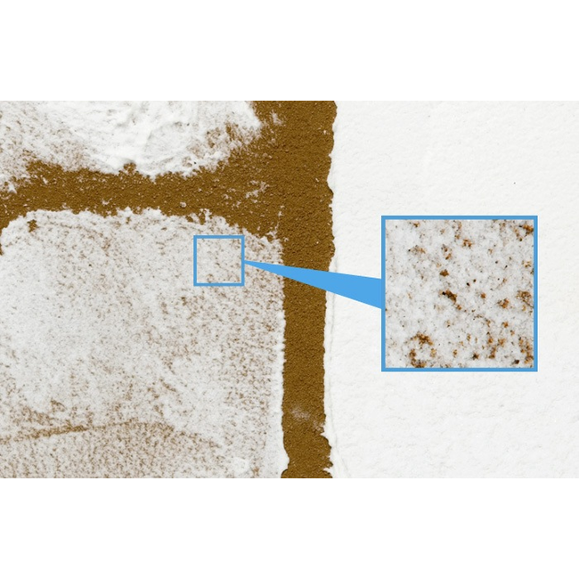 TAMIYA WHITE SNOW EFFECT TEXTURE PAINT 100mL