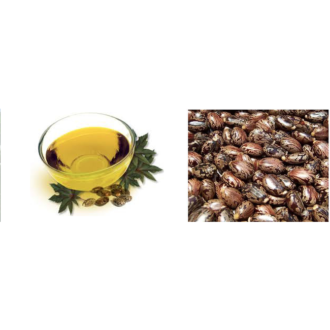 ACE CASTOR OIL BULK 25lt  TRIPPLE FILTERED FIRST PRESSING