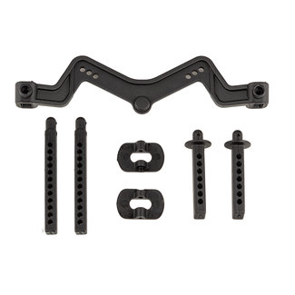TEAM ASSOCIATED TEAM ASSOCIATED DR10 Body Mount and Posts