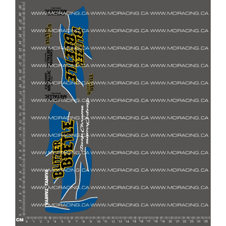 MCI REPRODUCTION DECALS MCI  1/10th REPRODUCTION TAM 58252 - BLITZER BEETLE CHROME DECALS