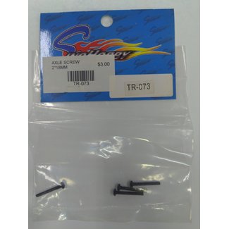 SINOHOBBY SINOHOBBY TR-073 SCREW PIN 2x18mm