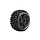 LOUISE X-Pioneer Rim & Tyre X-MAXX 24mm hex
