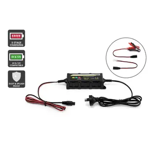 ACE RADIO CONTROLLED MODELS Certa 6V/12V Smart Battery Charger 1 Amp