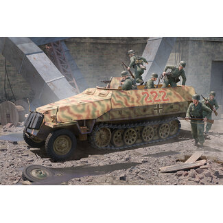 Trumpeter 1/16 Sd.Kfz 251D Plastic Model Kit
