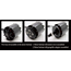 EMAX GT2826/05 860KV 3-5 CELLS 3000G THRUST