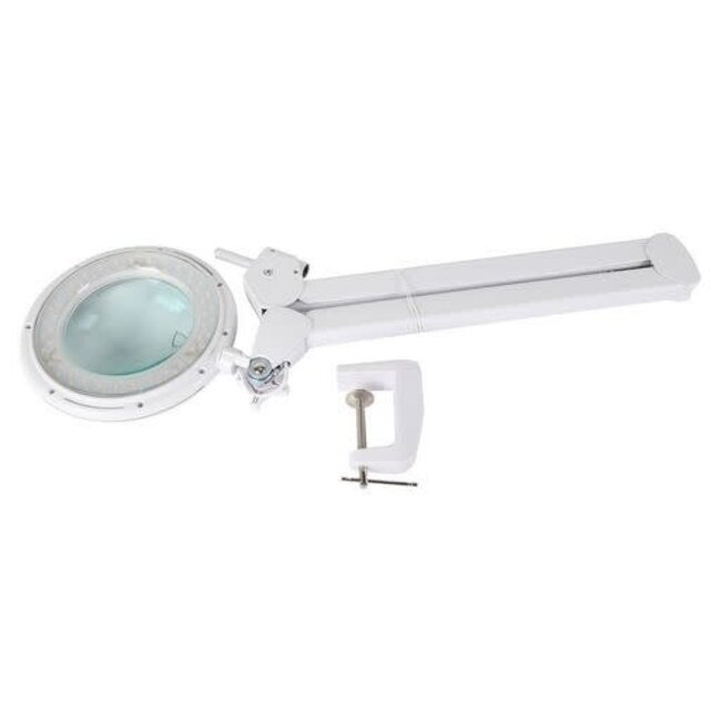 MAGNIFYING LAMP DIMMABLE & COLOUR 240V