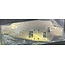 MUGEN SPORT PLAIN  CHASSIS  ( WITH CUT OUT FOR PULL STARTER ) NOT COUNTERSUNK ETC
