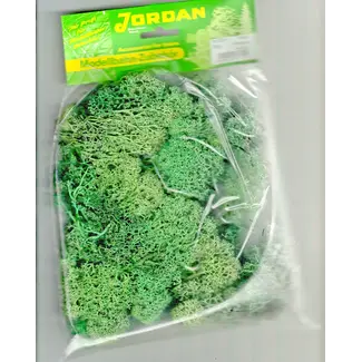 JORDAN Jordan 62A LICHEN (80g) LIGHT GREEN (HO/N/Z Scale)