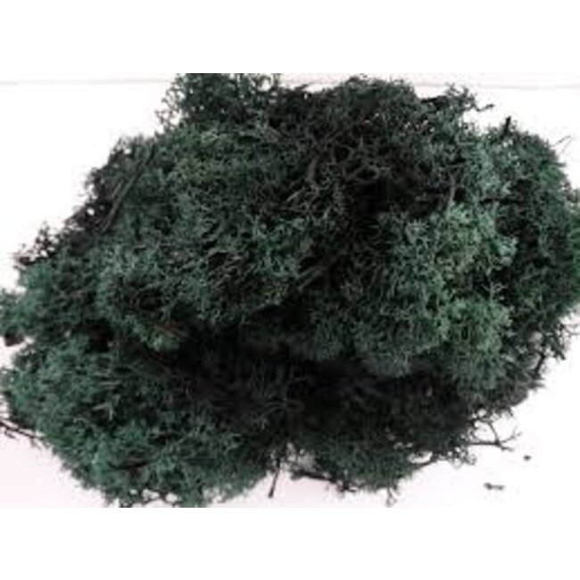 Jordan 69A LICHEN (80g) DARK GREEN (HO/N/Z Scale)
