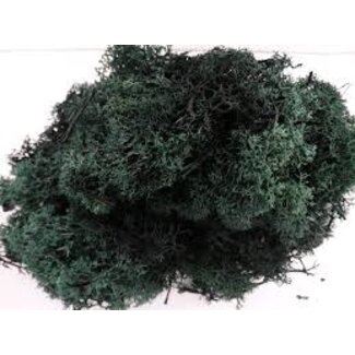 JORDAN Jordan 63 LICHEN (40g) DARK GREEN (HO/N/Z Scale)