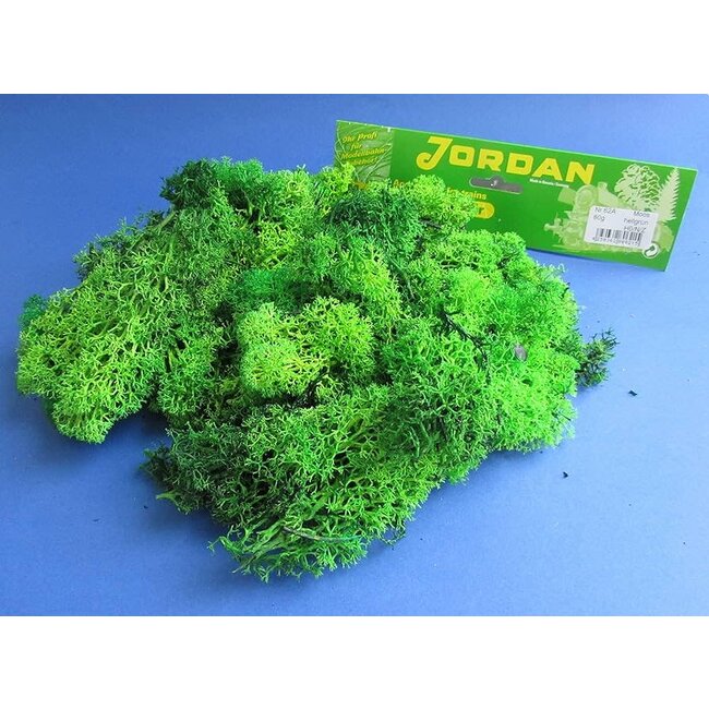Jordan 63 LICHEN (40g) LIGHT GREEN (HO/N/Z Scale)