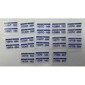 WHITE FANG SK 1/24 1/251 PAIR WESTERN AUST NUMBER PLATES 1 PAIR   NUMBERTS AS PER PHOTO