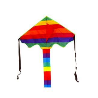 HAAK HIGH AS A KITE HAAK MIDGET RAINBOW CHILDRENS KITE