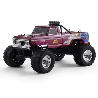 FMS FMS 1/10 FORD F100 RTR