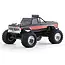 FMS 1/10 FORD F100 RTR
